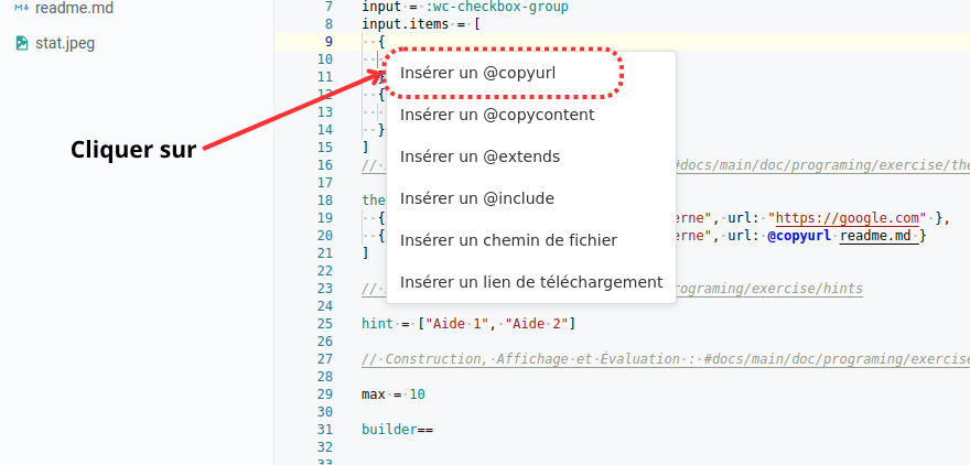 Insertion de l’URL de l’image